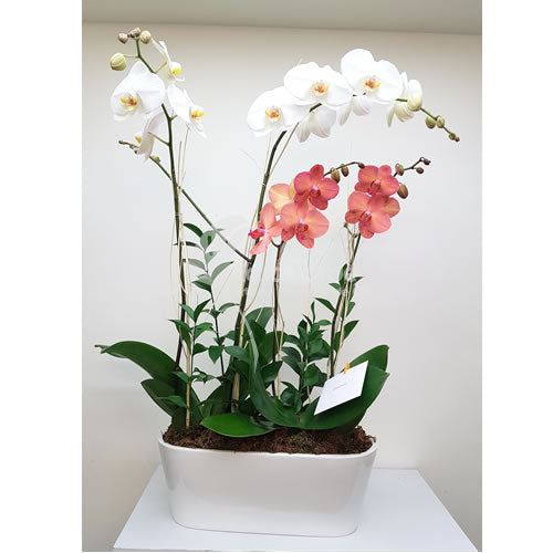 Arreglo floral Mirta de Casa Verde Arte en Flores Casa Verde Arte en Flores CVA00978