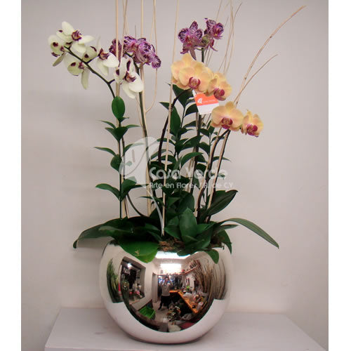 Arreglo floral Noguera de Casa Verde Arte en Flores Casa Verde Arte en Flores CVA00717