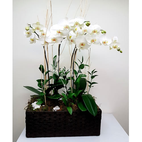 Arreglo floral Delia de Casa Verde Arte en Flores Casa Verde Arte en Flores CVA00868