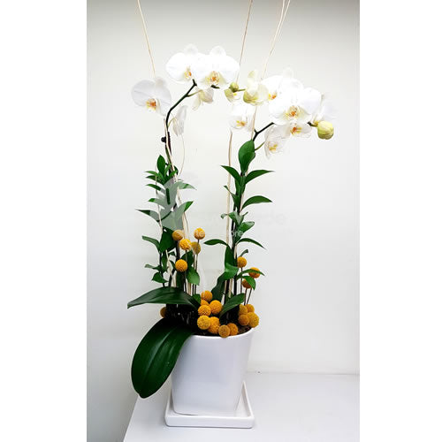 Arreglo floral Carole de Casa Verde Arte en Flores Casa Verde Arte en Flores CVA00981