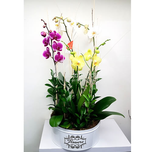 Arreglo floral Pauline de Casa Verde Arte en Flores Casa Verde Arte en Flores CVA00984