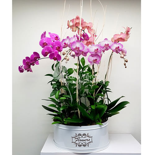 Arreglo floral Amadea de Casa Verde Arte en Flores Casa Verde Arte en Flores CVA01005